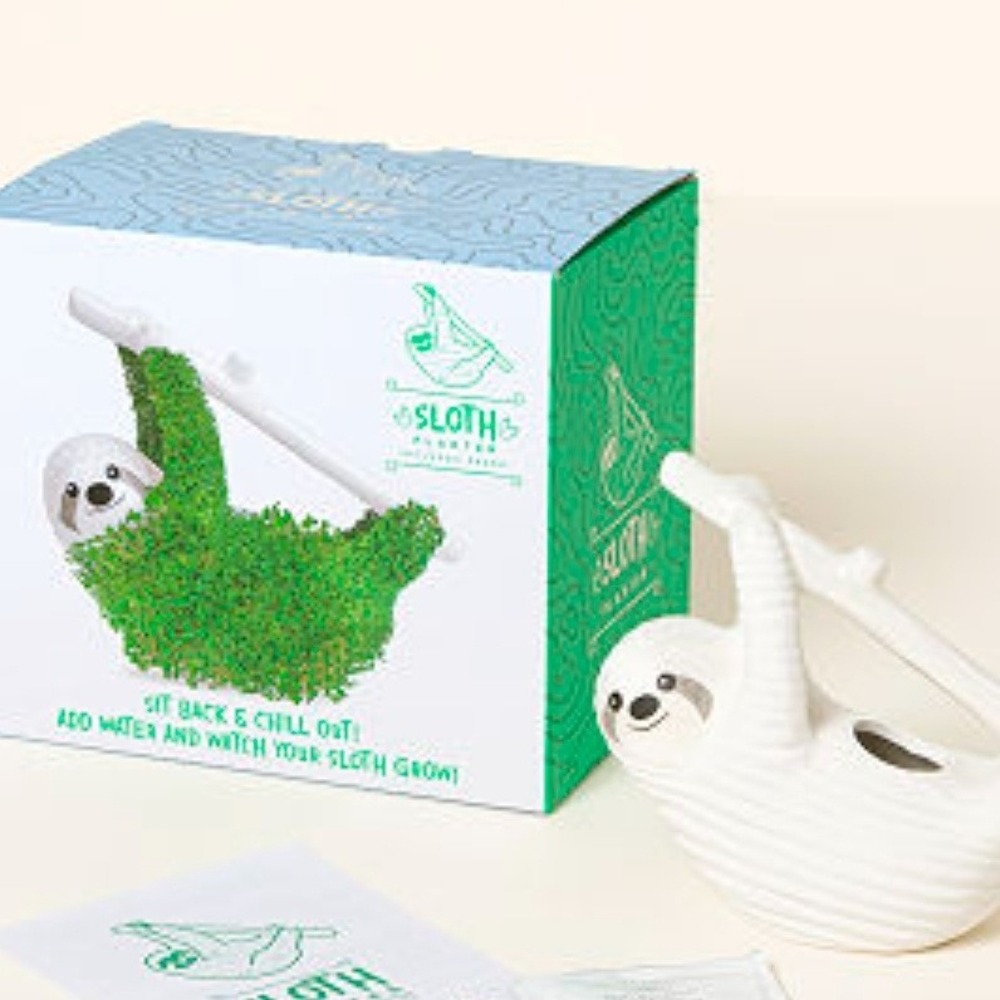 Sloth Planter Kit Ceramic Chia Pet Novelty Grow Your Own Indoor Garden‎